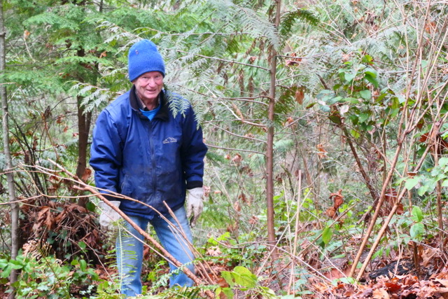 2022-2-Allen McRae battling with the invasive plants at Hailey Grove.